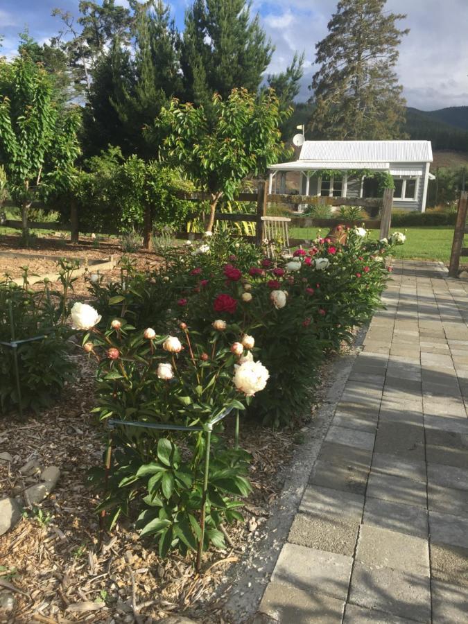 Birch Hill Cottage -30 Minutes From St Arnaud Wairau Valley Buitenkant foto